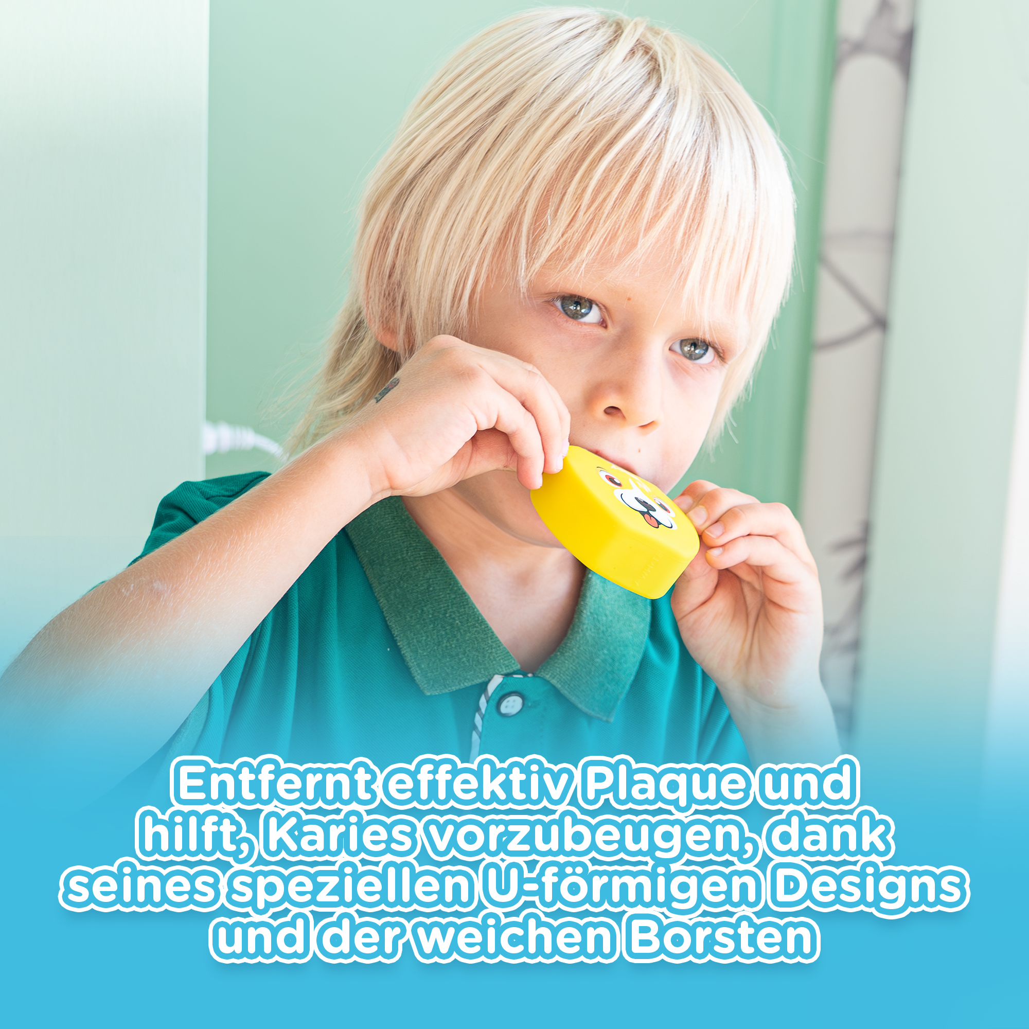 KiddoBürste Kit - Test Offer 20